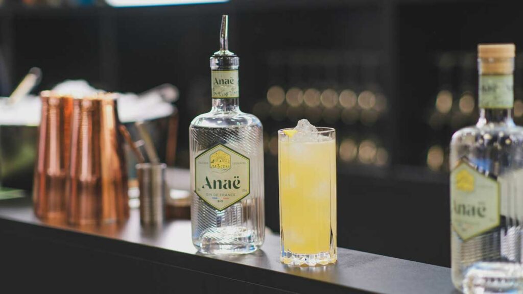 Cocktail à base de jus de citron professionnel et Gin Français Anaé