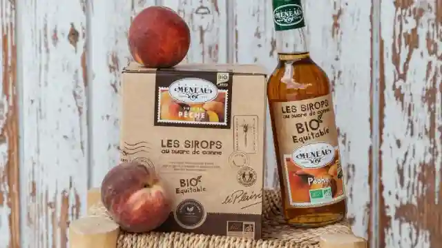 Gamme de Sirop Meneau bio en BIB pour les établissements CHR