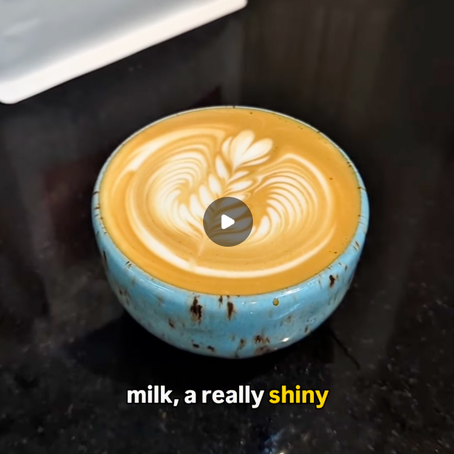 Video tutoriel de la Technique faire mousser un lait barista pour le latte art