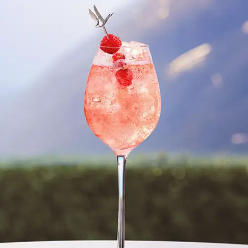 Cocktail vodka aux fruits rouges préparé dans un bar CHR